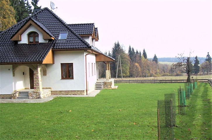 Hauptansicht mit Terrassenaufgang Einfamilienhaus Karl�w