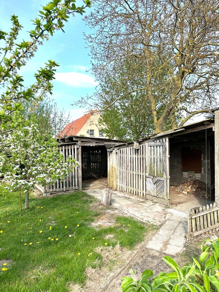 Gartenbereich LHH Mehrfamilienhaus Langenhanshagen