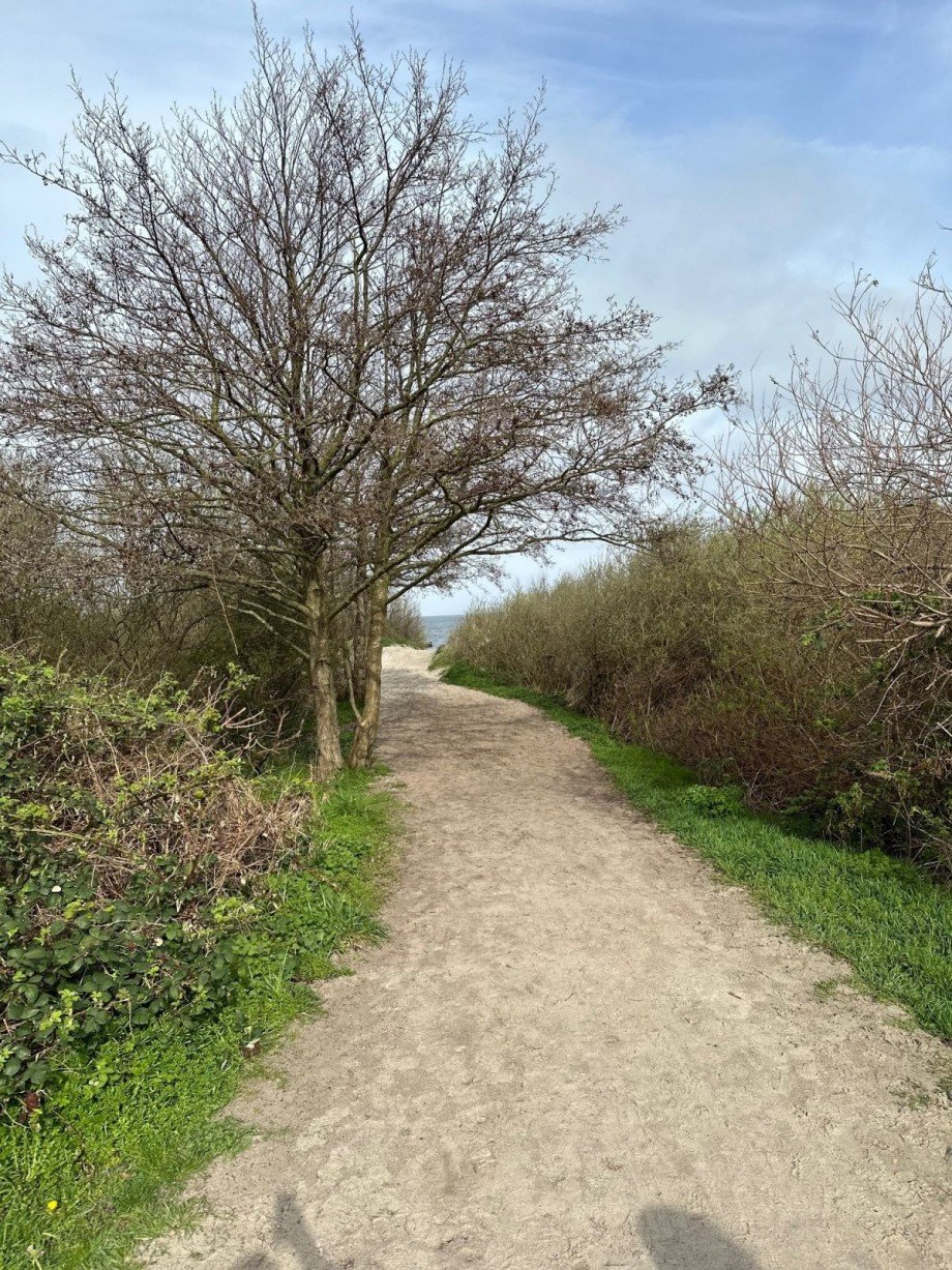 ETW B�rgerende Strandaufgang 4 Renditeobjekt B�rgerende-Rethwisch